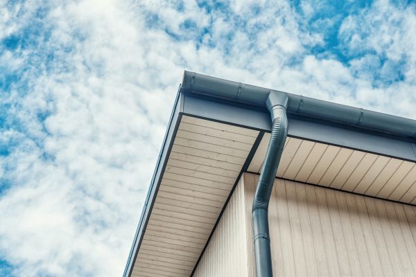 Gutter Fascia Repair in Saint Charles