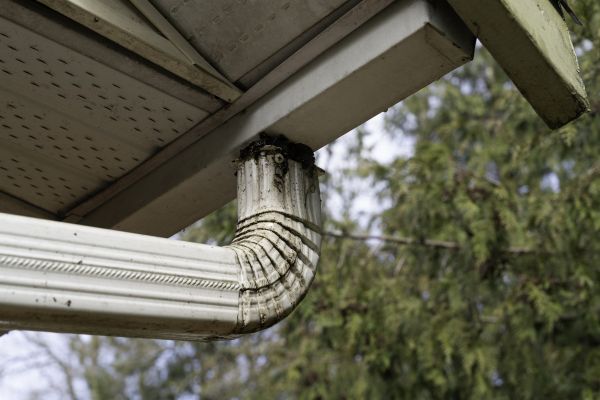 Cost of Roof Drain Replacement in Saint Charles